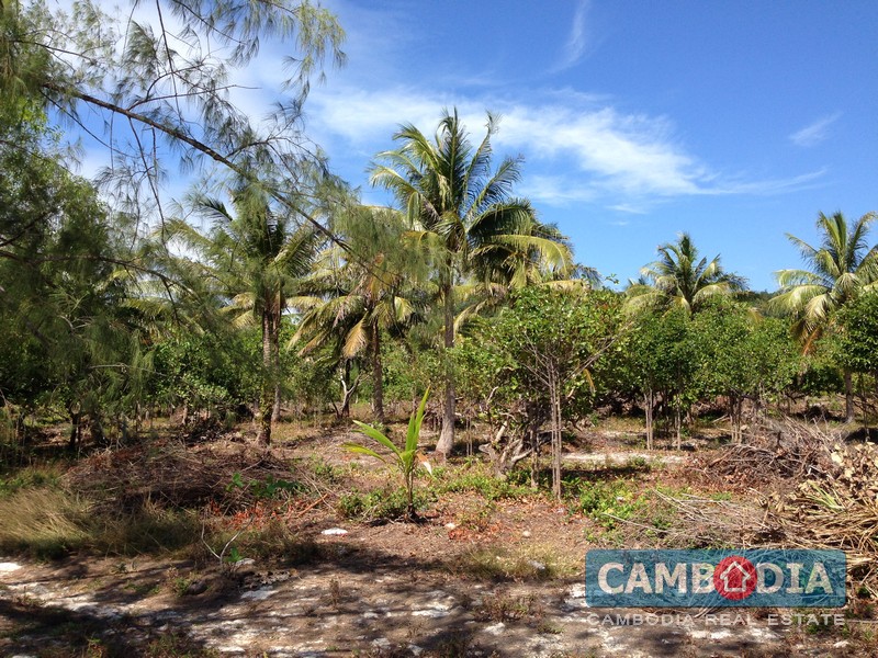 Beachfront Land in Koh Rong Cambodia Property Upload Free