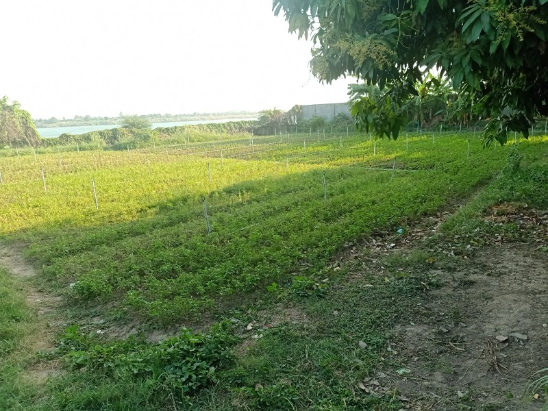 Land for sale in Land Along to The Mekong River for Sale Cambodia
