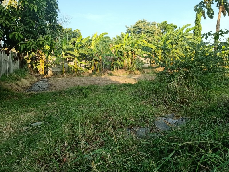 Land for sale in Land Along to The Mekong River for Sale Cambodia