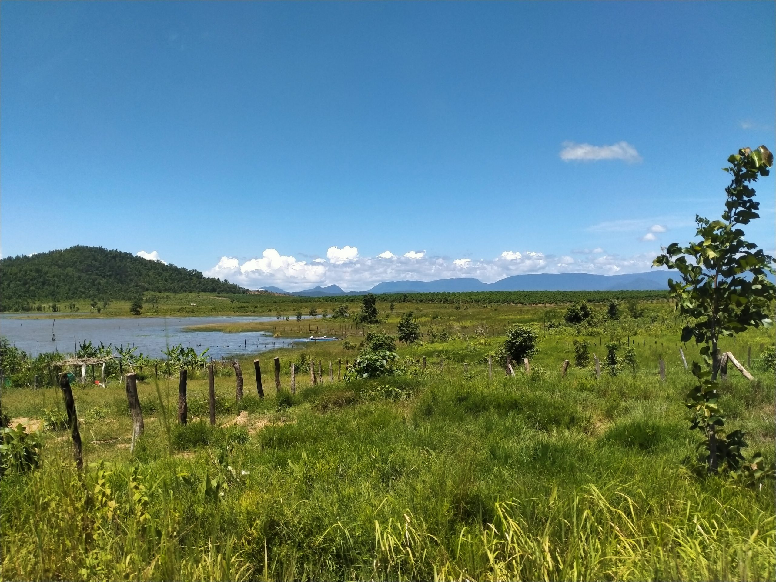 Mango Farm for Sale in Oral District Kampong Speu Cambodia Property