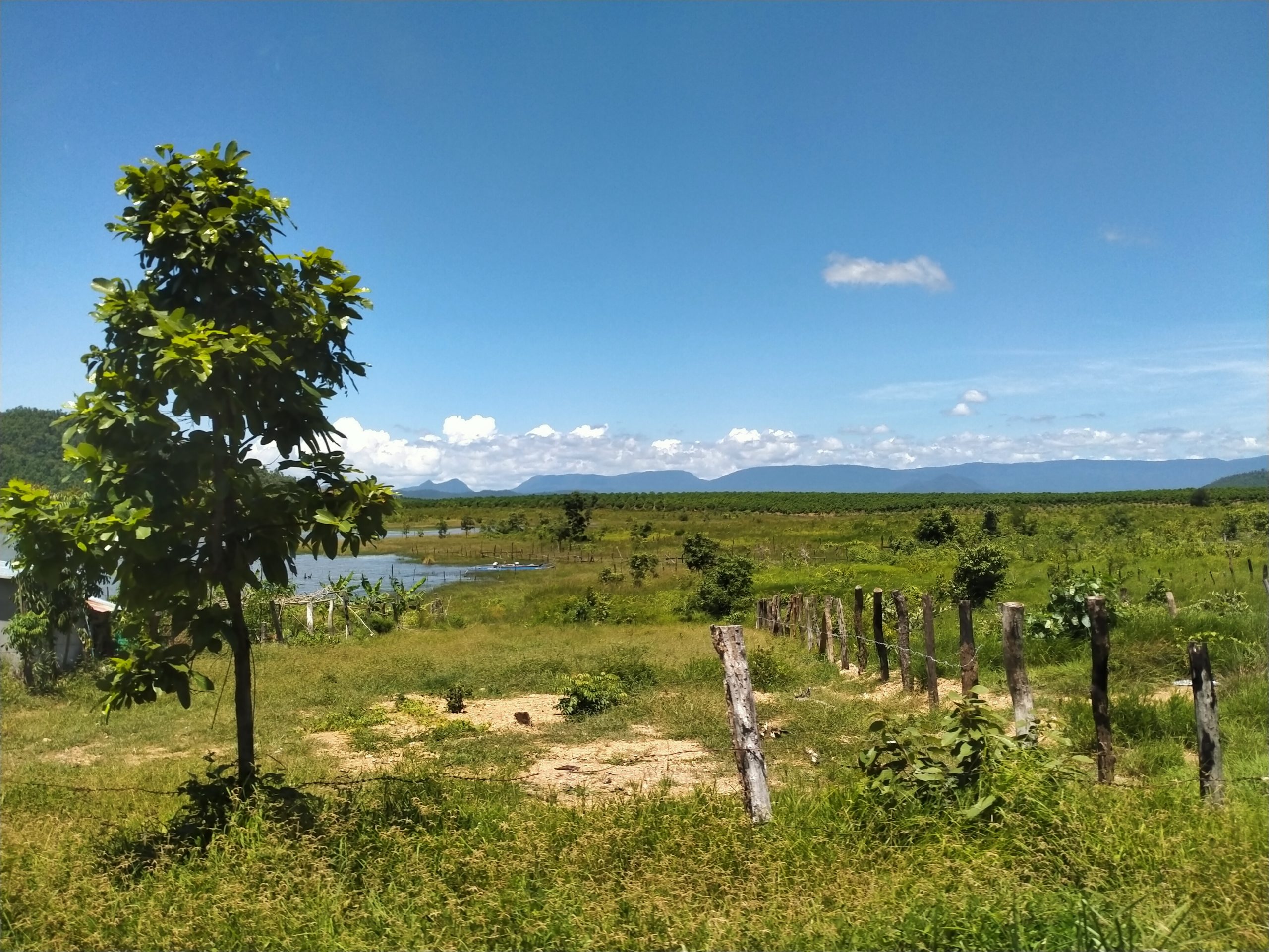 Mango Farm for Sale in Oral District Kampong Speu Cambodia Property