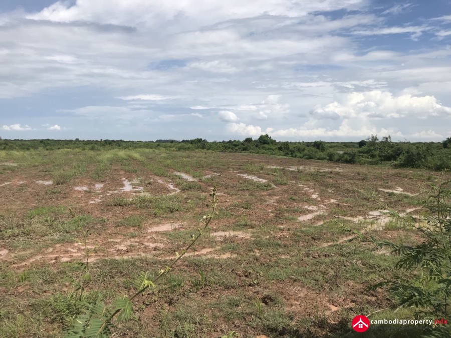 Land for sale in Lvea Em District (Prek Khmeng Commune, and Preck