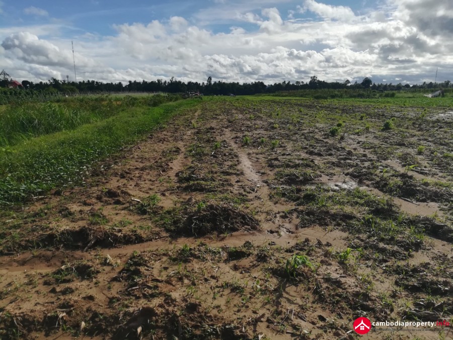 9Ha development land for sale along Mekong river