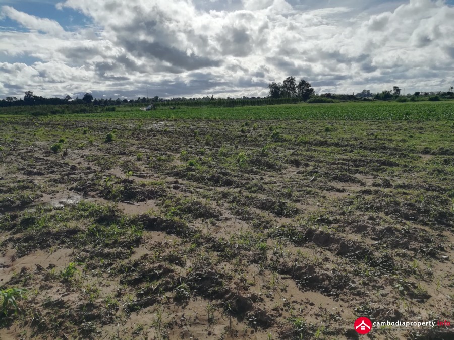 9Ha development land for sale along Mekong river