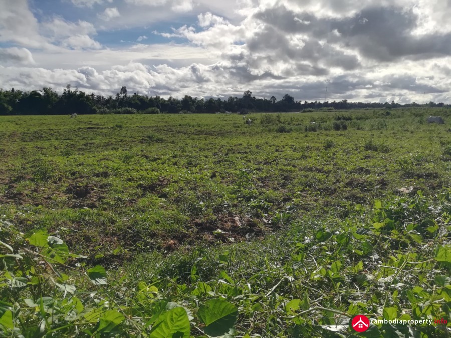 9Ha development land for sale along Mekong river