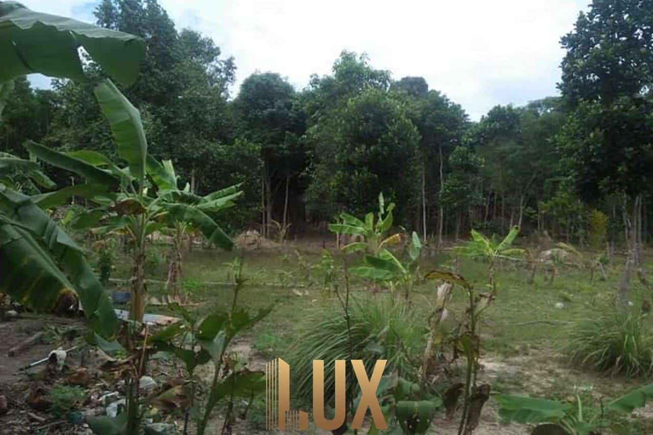 Land For Sale Near Planned Airport in Koh Rong Sok San Sihanoukville