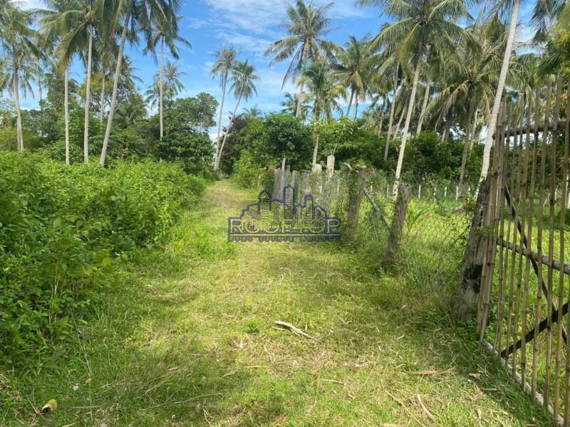 Villa for sale in Kep Kep 7000 sqm Land For Sale in Kep (Keo Krosang