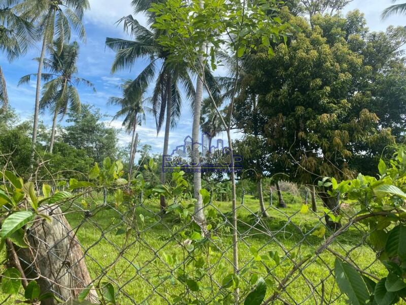 Land for sale in Kep Kep 2000 sqm Land For Sale in Kep (Keo Krosang